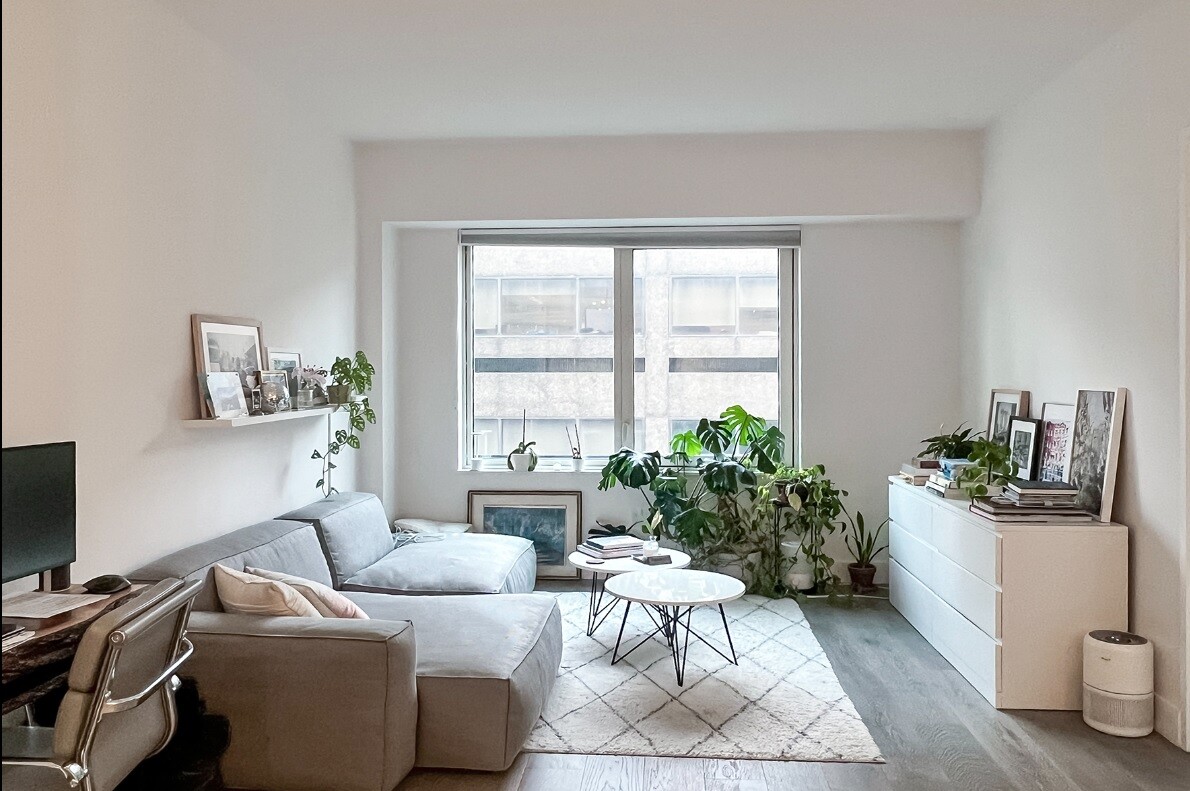 10 Nevins Street 8F Downtown Brooklyn NY 11217