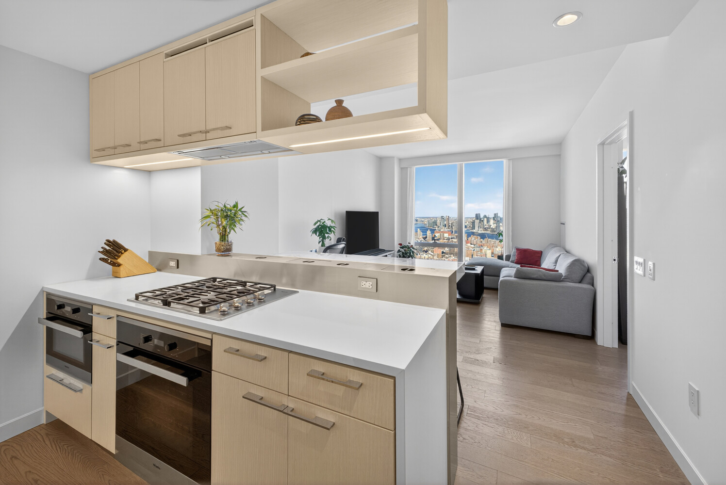 252 South Street 64G Lower East Side New York NY 10002