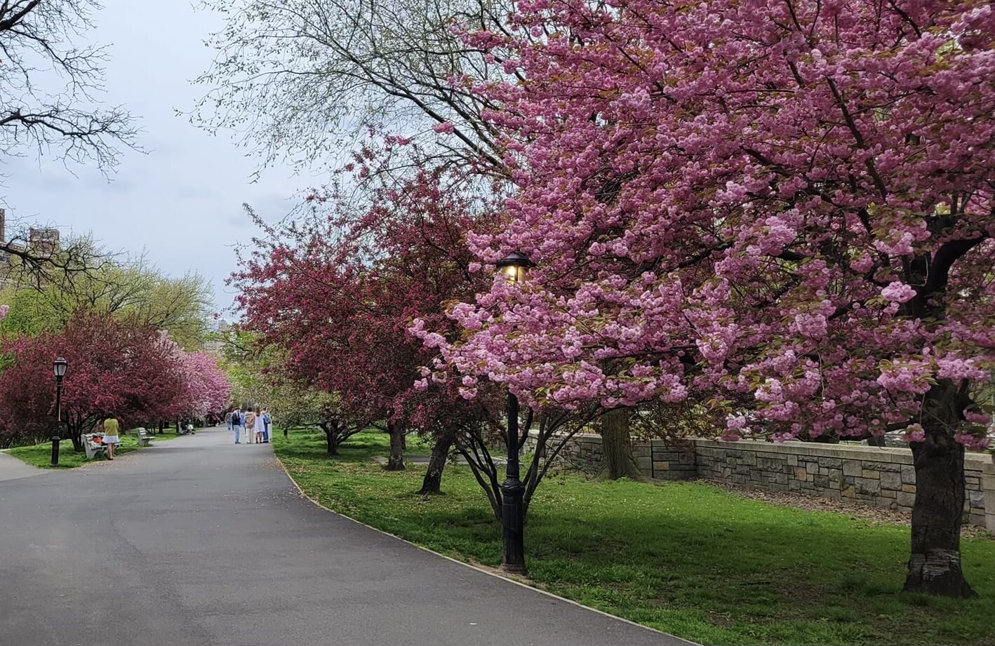 305 West 98th Street 3EN Upper West Side New York NY 10025