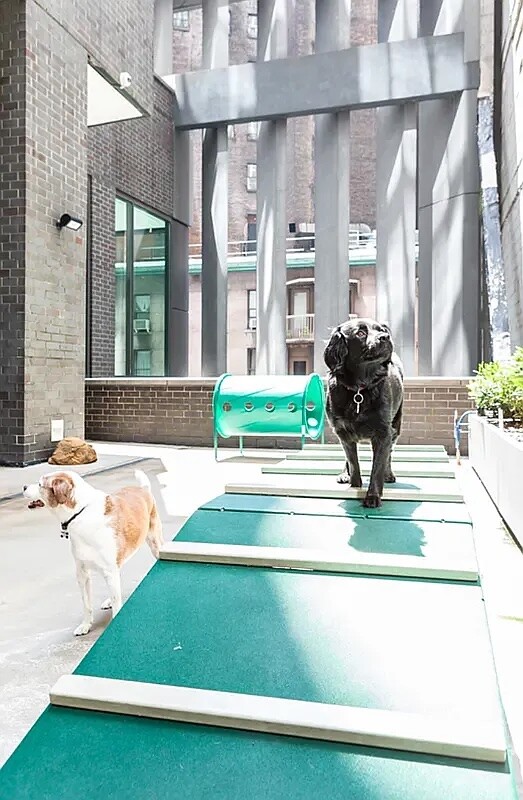 15 William Street 7D Financial District New York NY 10005