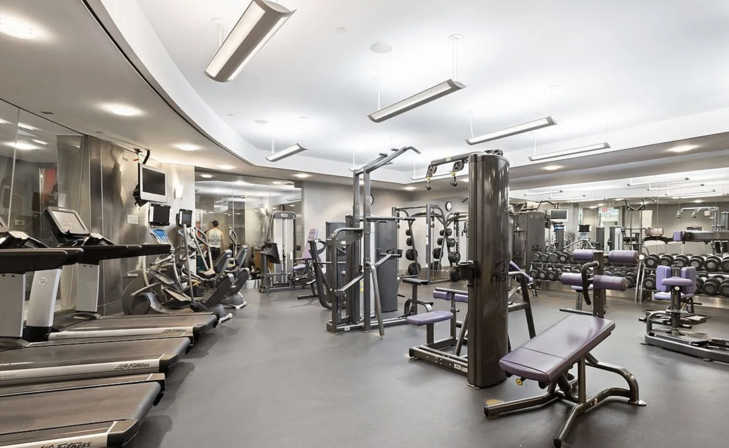 120 Riverside Blvd. 16J Lincoln Square New York NY 10069