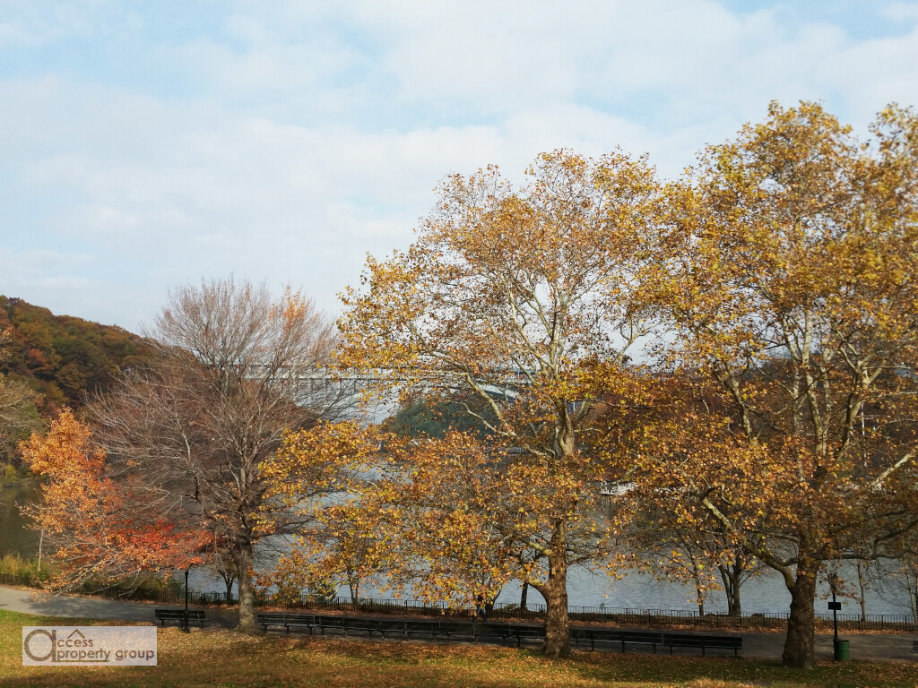 70 Park Terrace East 6G Inwood New York NY 10034