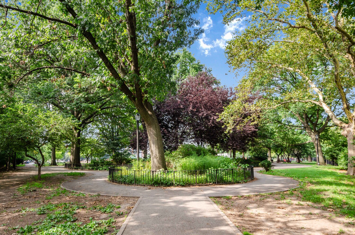 218 North 8th Street 1A Williamsburg Brooklyn NY 11211