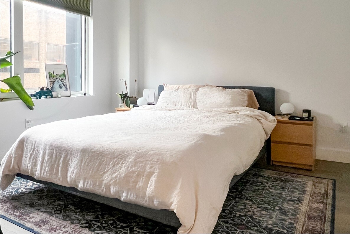 10 Nevins Street 8F Downtown Brooklyn NY 11217