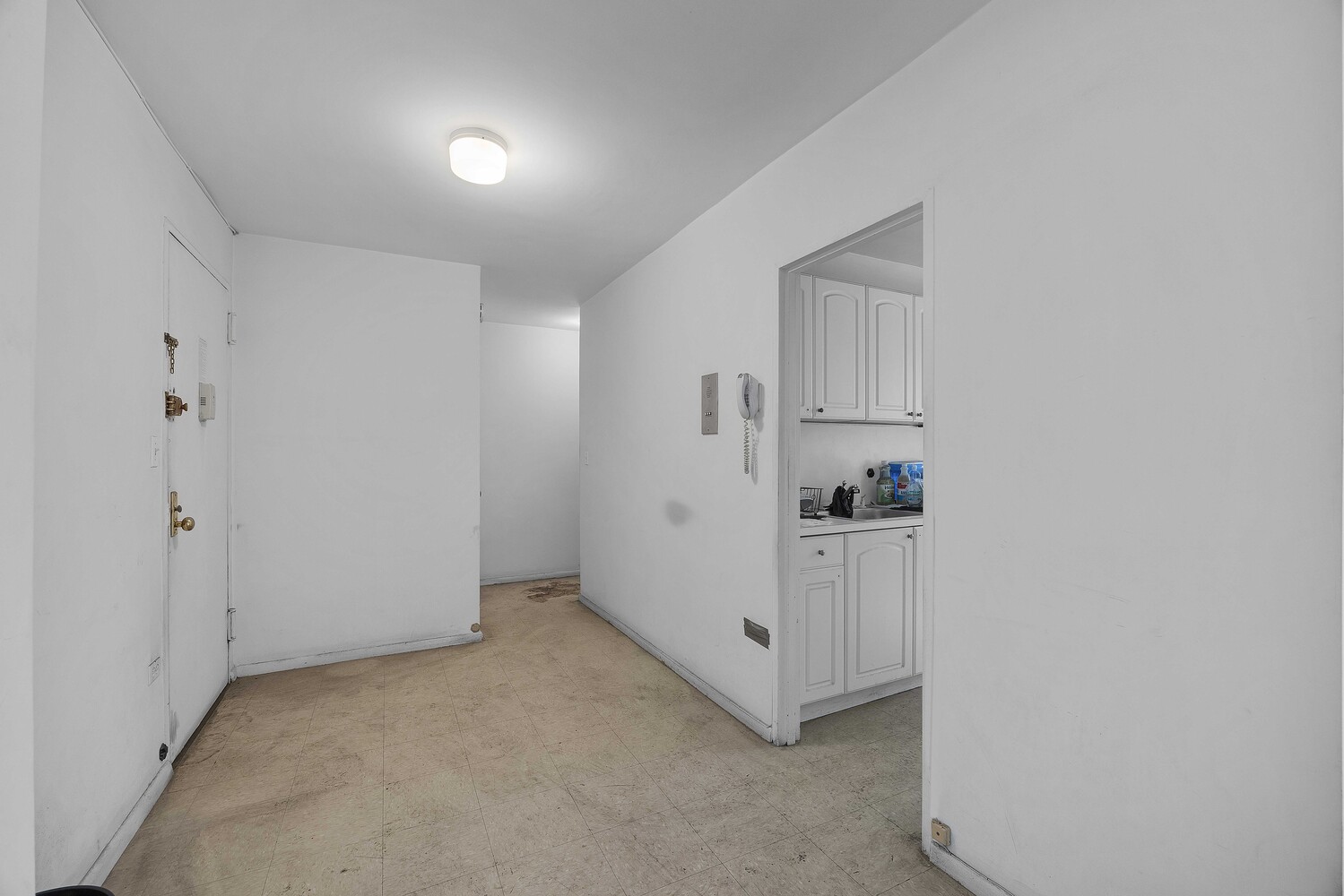 191 Willoughby Street 7N Downtown Brooklyn NY 11201