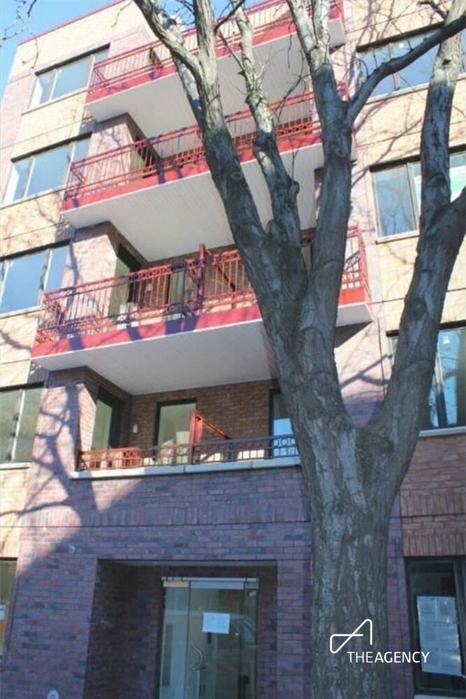351 Franklin Avenue Bedford Stuyvesant Brooklyn NY 11238
