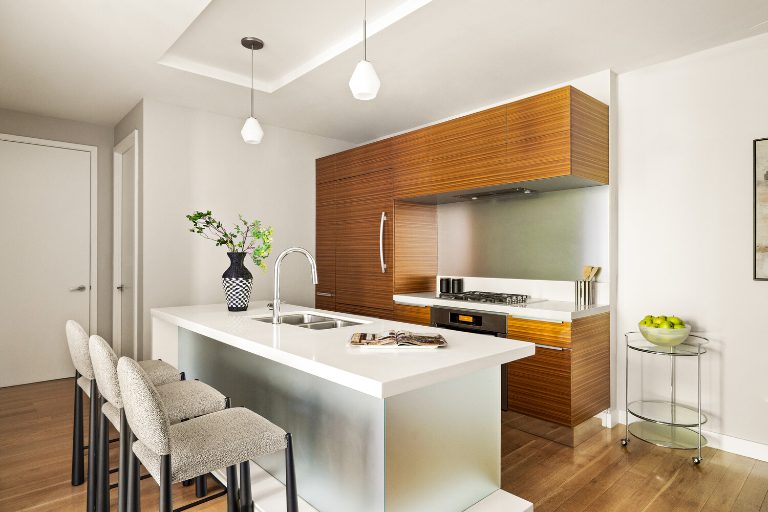 150 North 5th Street 2I Williamsburg Brooklyn NY 11211