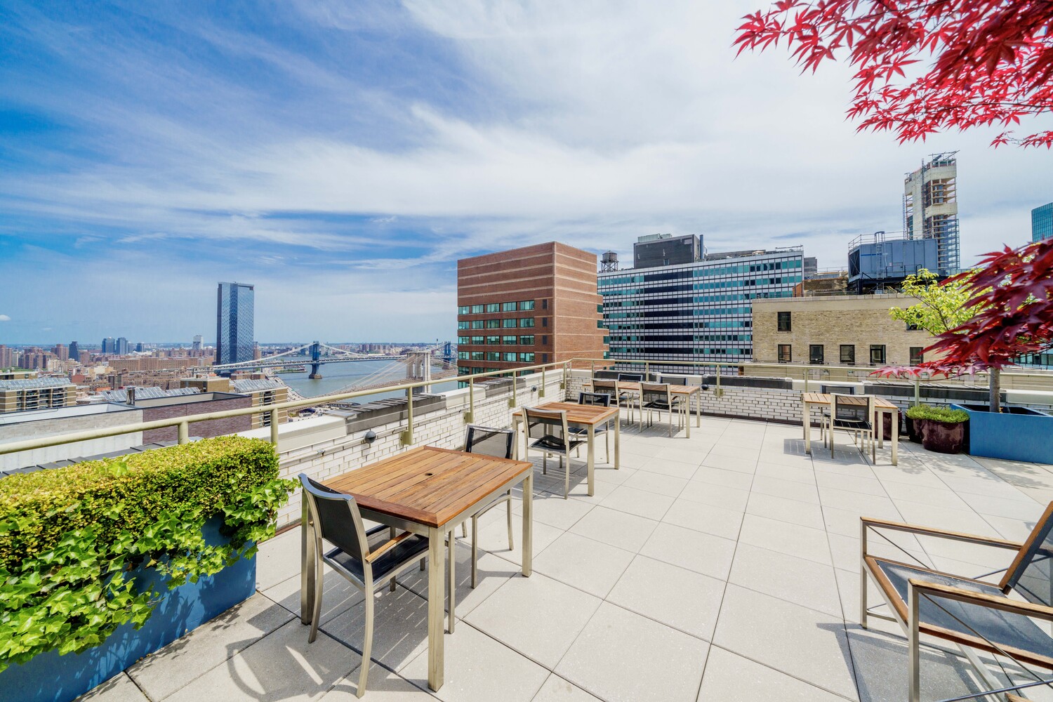 99 John Street 425 Seaport District New York NY 10038