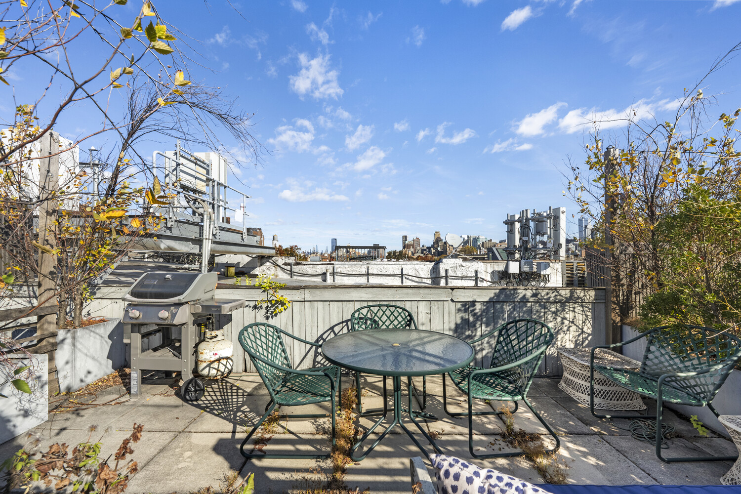 555 Henry Street 3 Carroll Gardens Brooklyn NY 11231