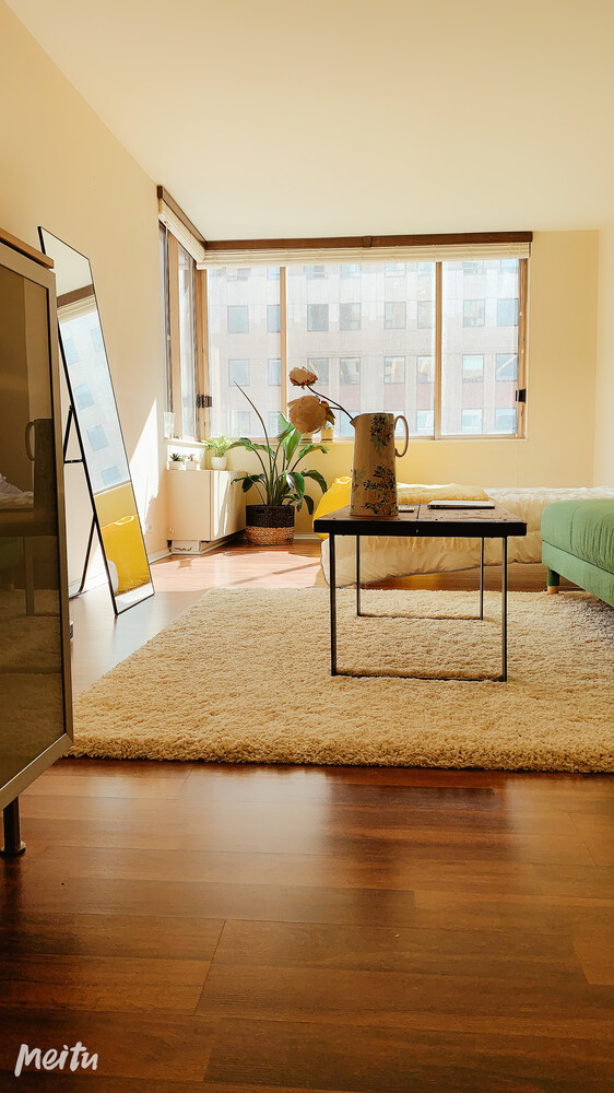 350 West 50th Street 20A Clinton New York NY 10019