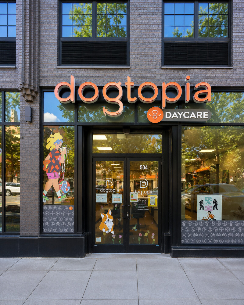 91 Grand Avenue Clinton Hill Brooklyn NY 11205