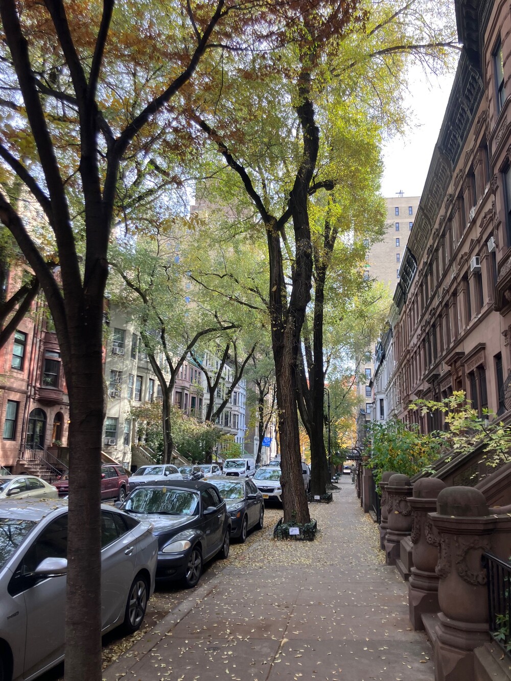 20 West 95th Street 7/8 Upper West Side New York NY 10025