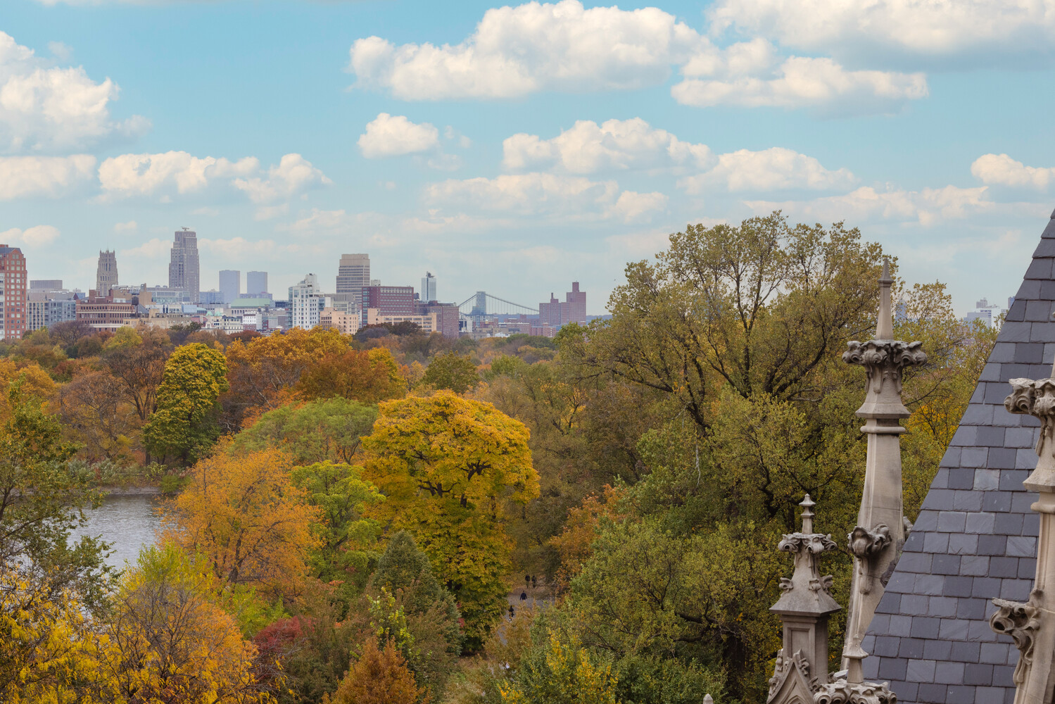 1107 Fifth Avenue 9N Carnegie Hill New York NY 10128