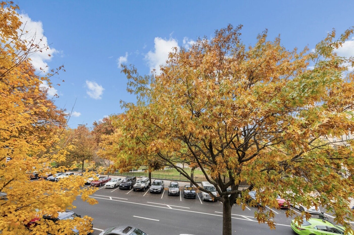 1919 Madison Avenue 317 East Harlem New York NY 10035