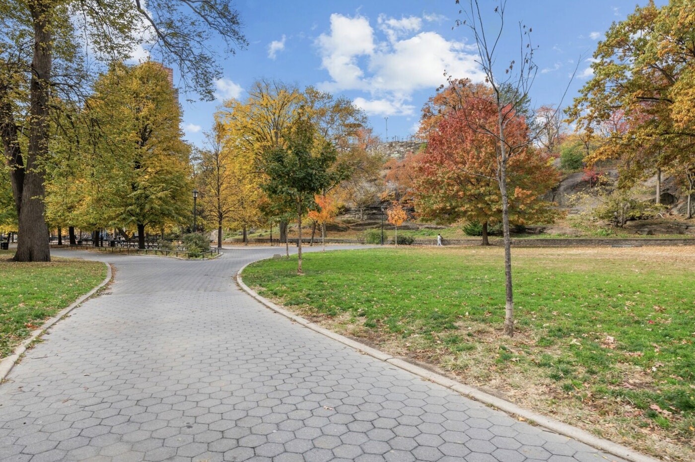 1919 Madison Avenue East Harlem New York NY 10035