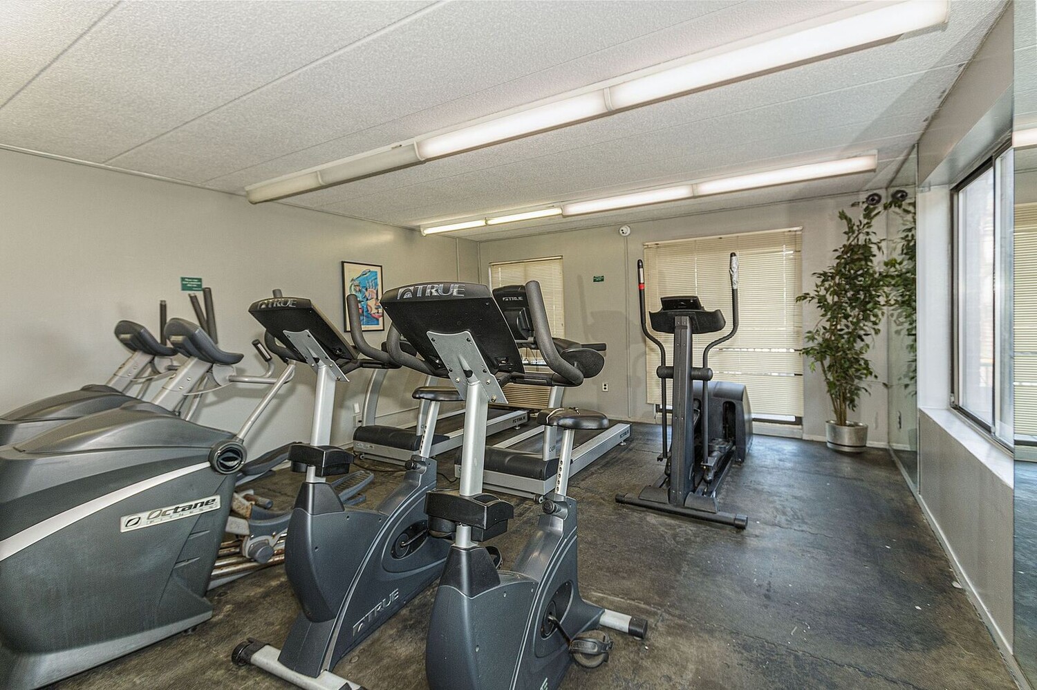 108-49 Seaview Avenue 29B Canarsie Brooklyn NY 11236