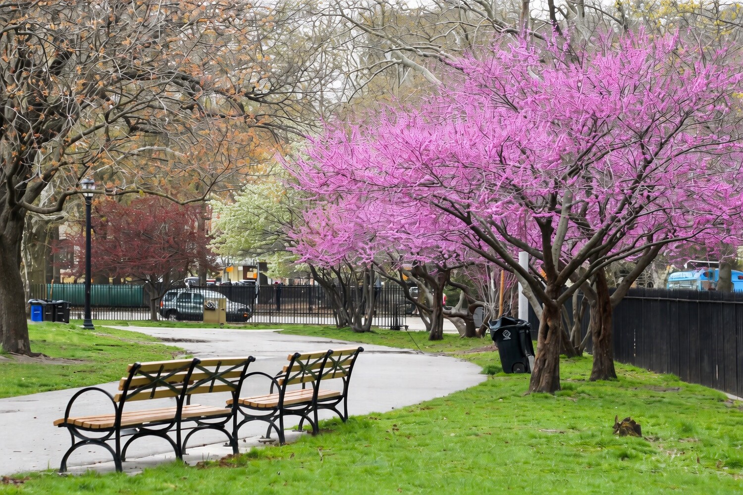 33 Frost Street Williamsburg Brooklyn NY 11211