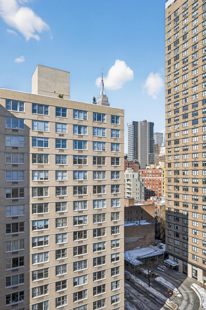 201 East 28th Street 14M Kips Bay New York NY 10016