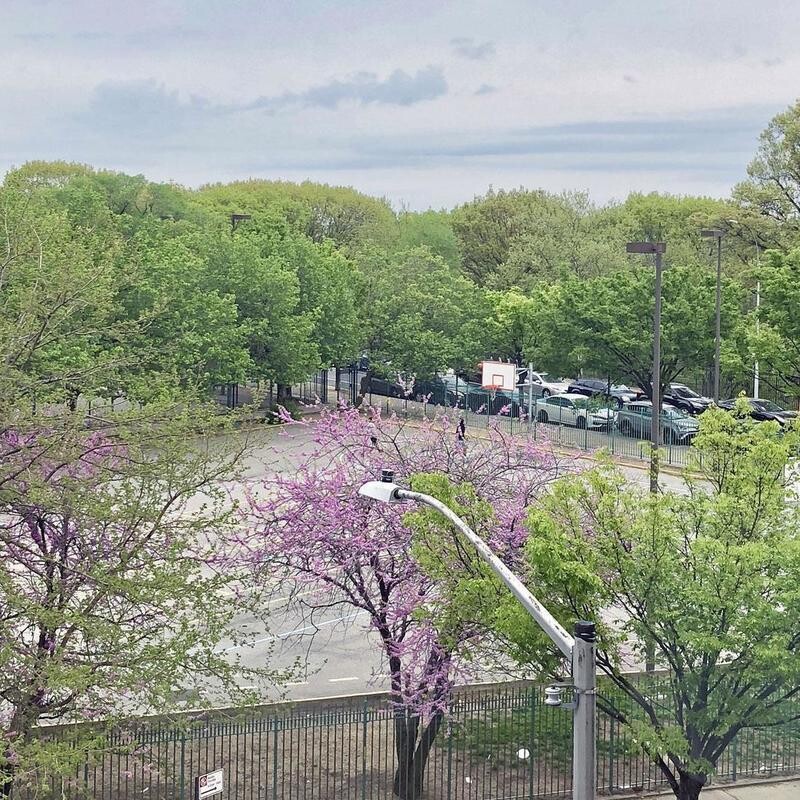 448 West 167th Street 3D Washington Heights New York NY 10032