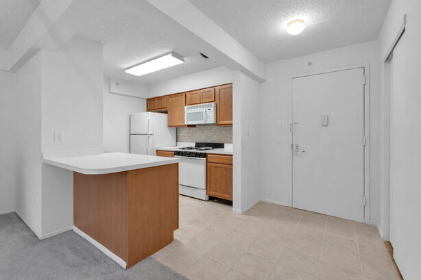 342 East 119th Street 2A East Harlem New York NY 10035