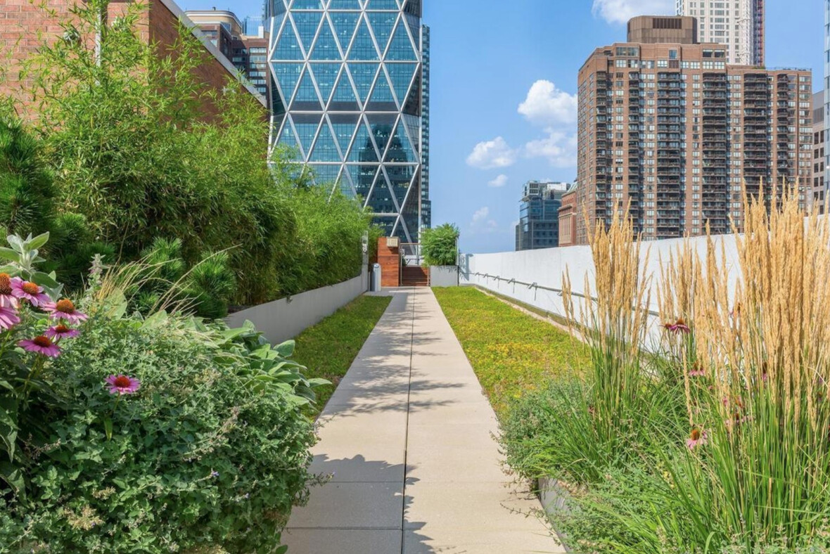 301 West 53rd Street 23K Clinton New York NY 10019