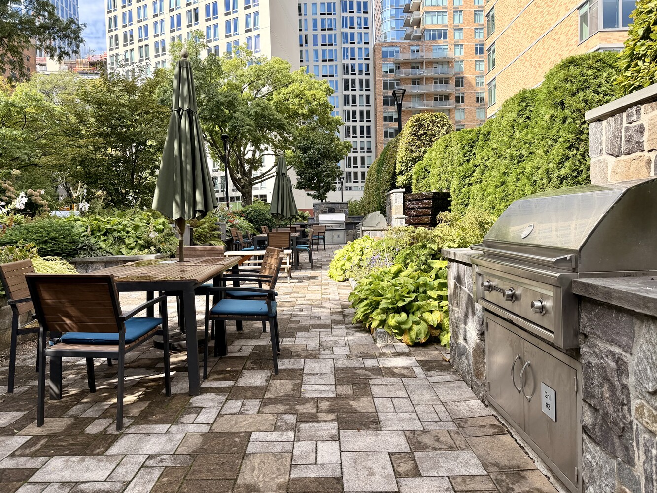 191 Willoughby Street 8J Downtown Brooklyn NY 11201