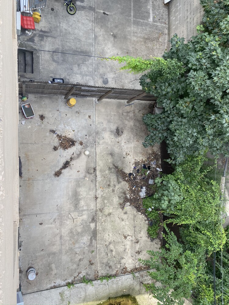 321 Milford Street East New York Brooklyn NY 11208