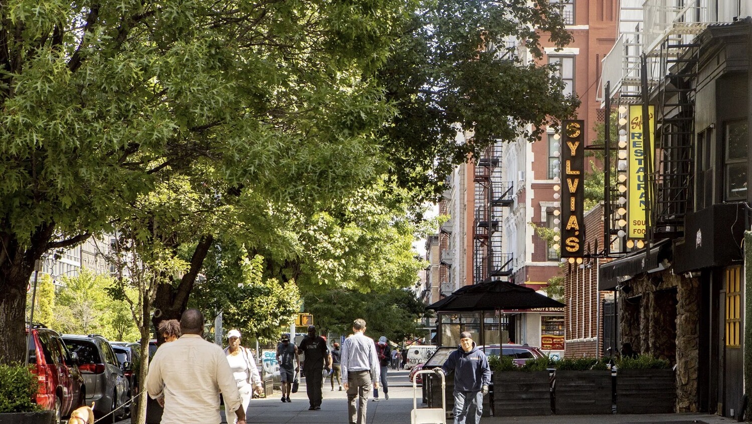 130 Lenox Avenue 513 West Harlem New York NY 10026