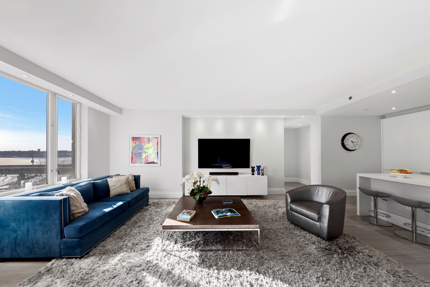 220 Riverside Blvd. 4H Lincoln Square New York NY 10069