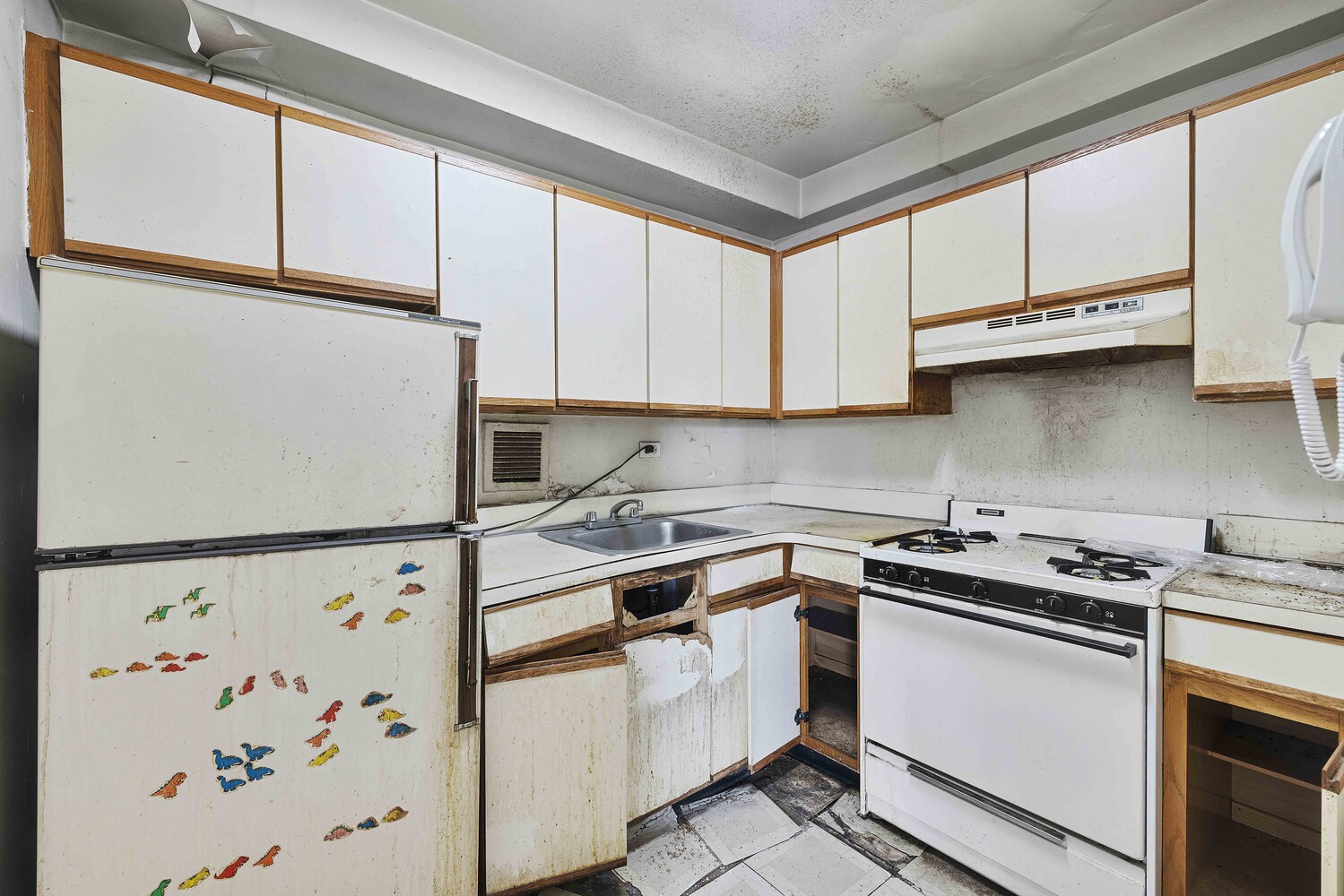 1020 Grand Concourse 8H Concourse Bronx NY 10451