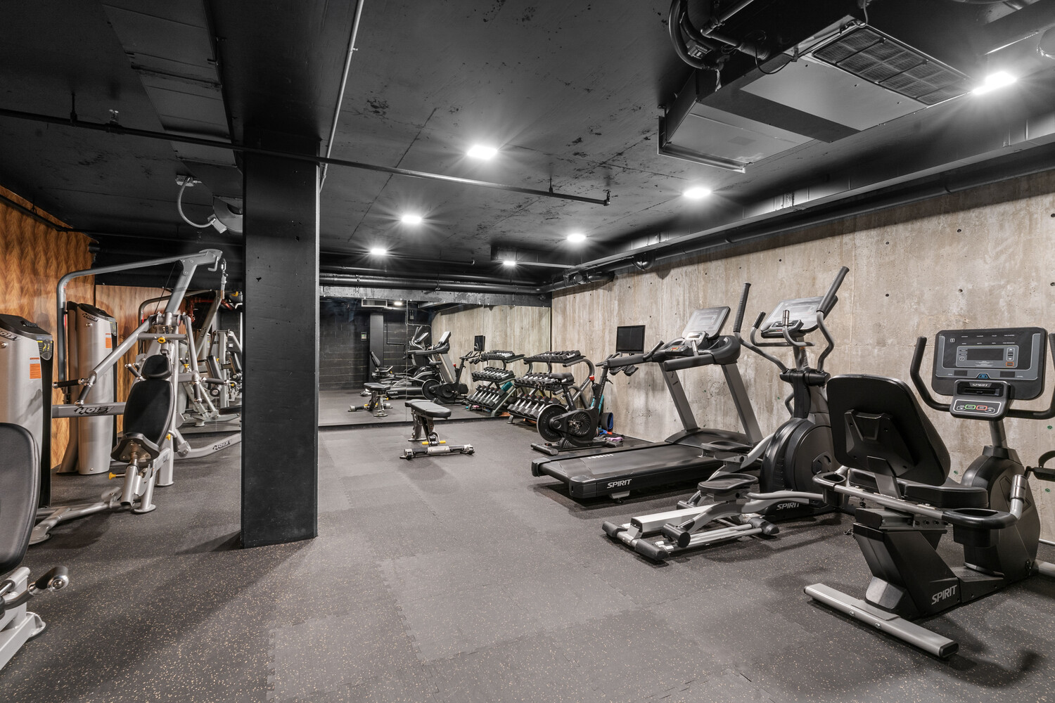 2218 Ocean Avenue 4F Madison Brooklyn NY 11229