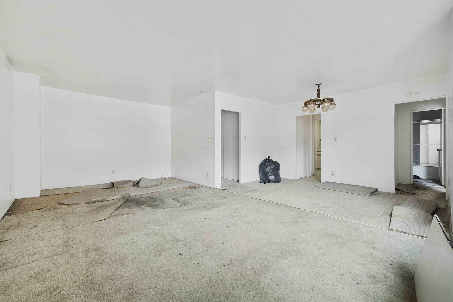 1020 Grand Concourse 5A Concourse Bronx NY 10451