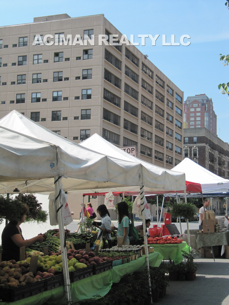 220 Manhattan Avenue 1F Manhattan Valley New York NY 10025