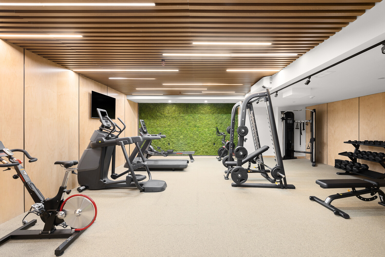 350 West 44th Street 203 Clinton New York NY 10036