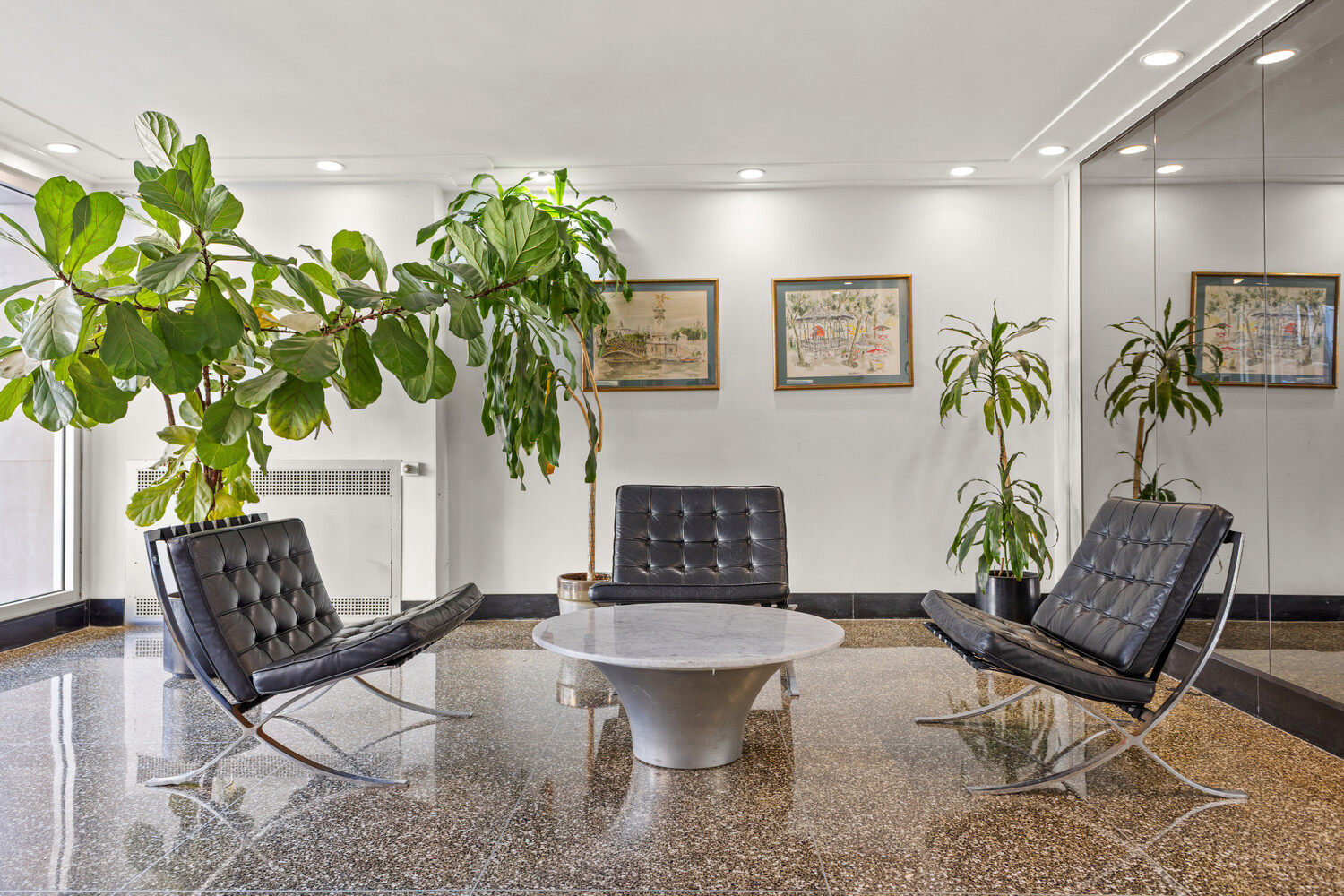 270 Jay Street 4G Downtown Brooklyn NY 11201