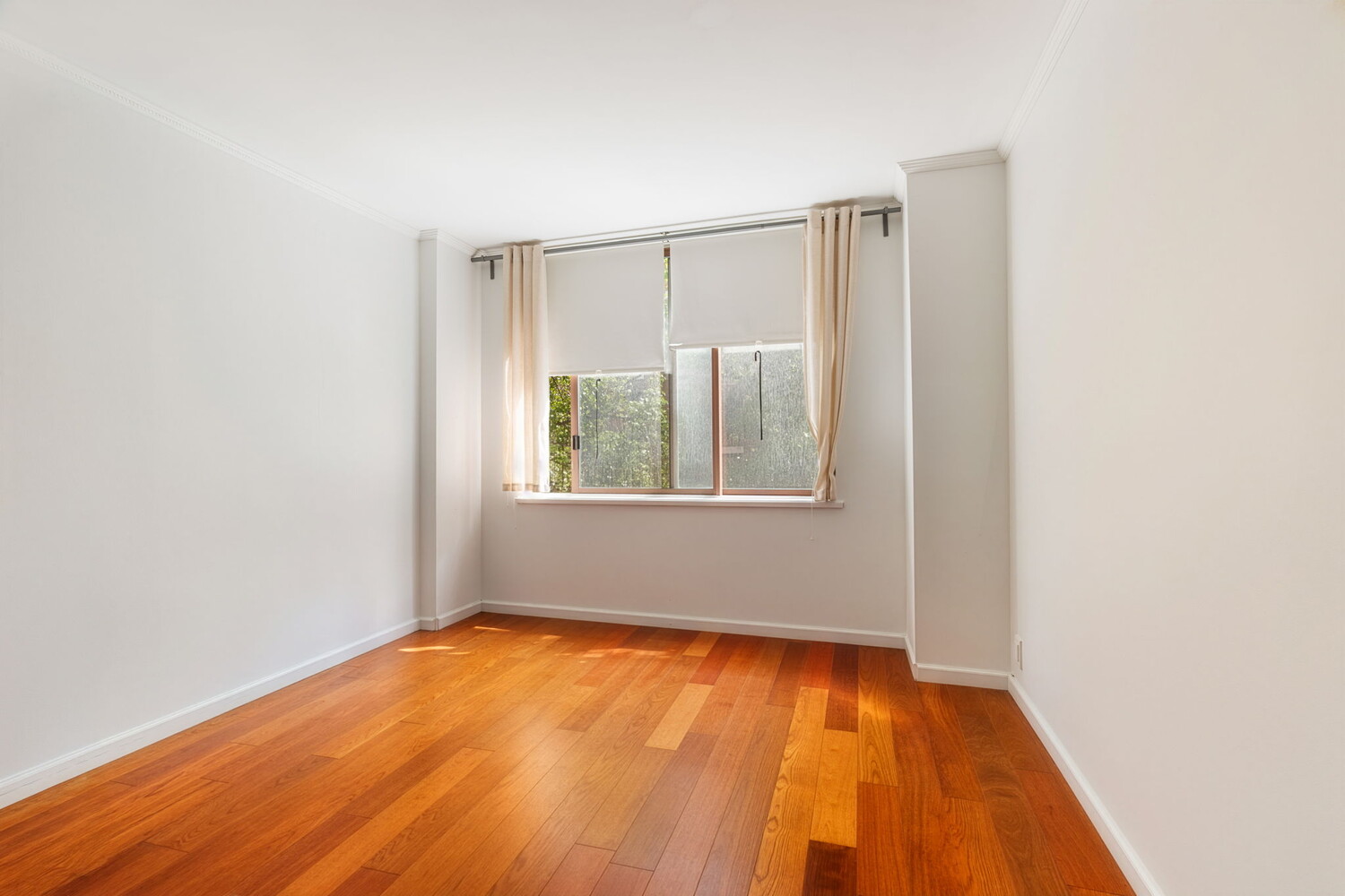350 West 50th Street 2B Clinton New York NY 10019