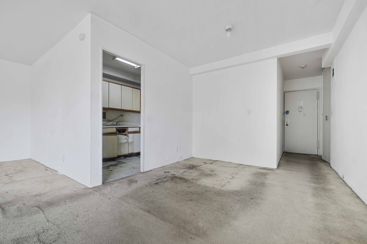 1020 Grand Concourse 8H Concourse Bronx NY 10451