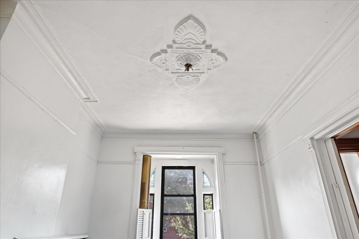 638 Halsey Street Stuyvesant Heights Brooklyn NY 11233