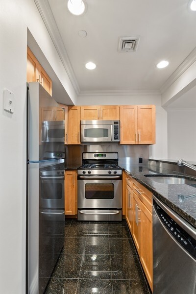 85 Hudson Avenue 4B Vinegar Hill Brooklyn NY 11201