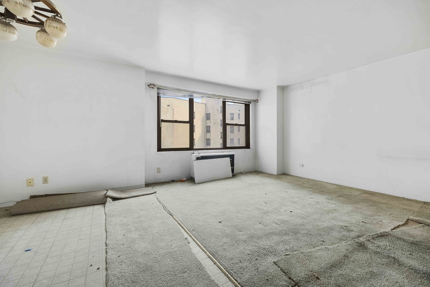 1020 Grand Concourse 5A Concourse Bronx NY 10451