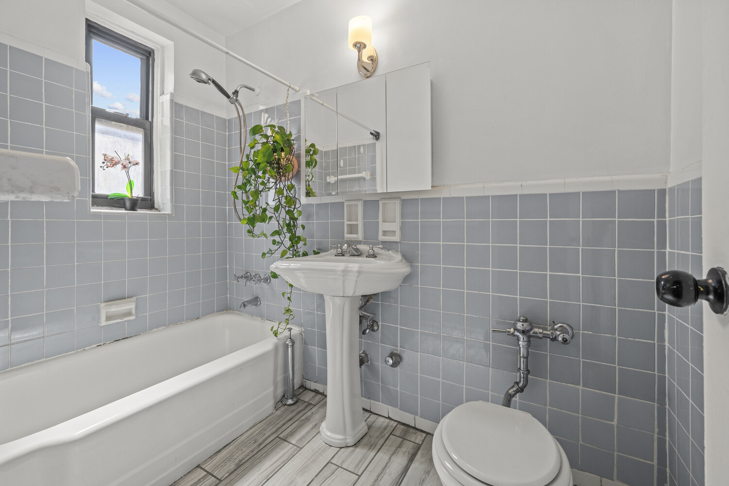 282 East 35th Street 7E East Flatbush Brooklyn NY 11203