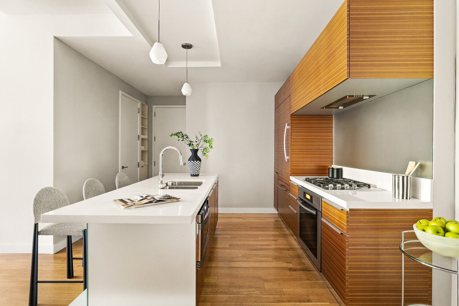 150 North 5th Street 2I Williamsburg Brooklyn NY 11211