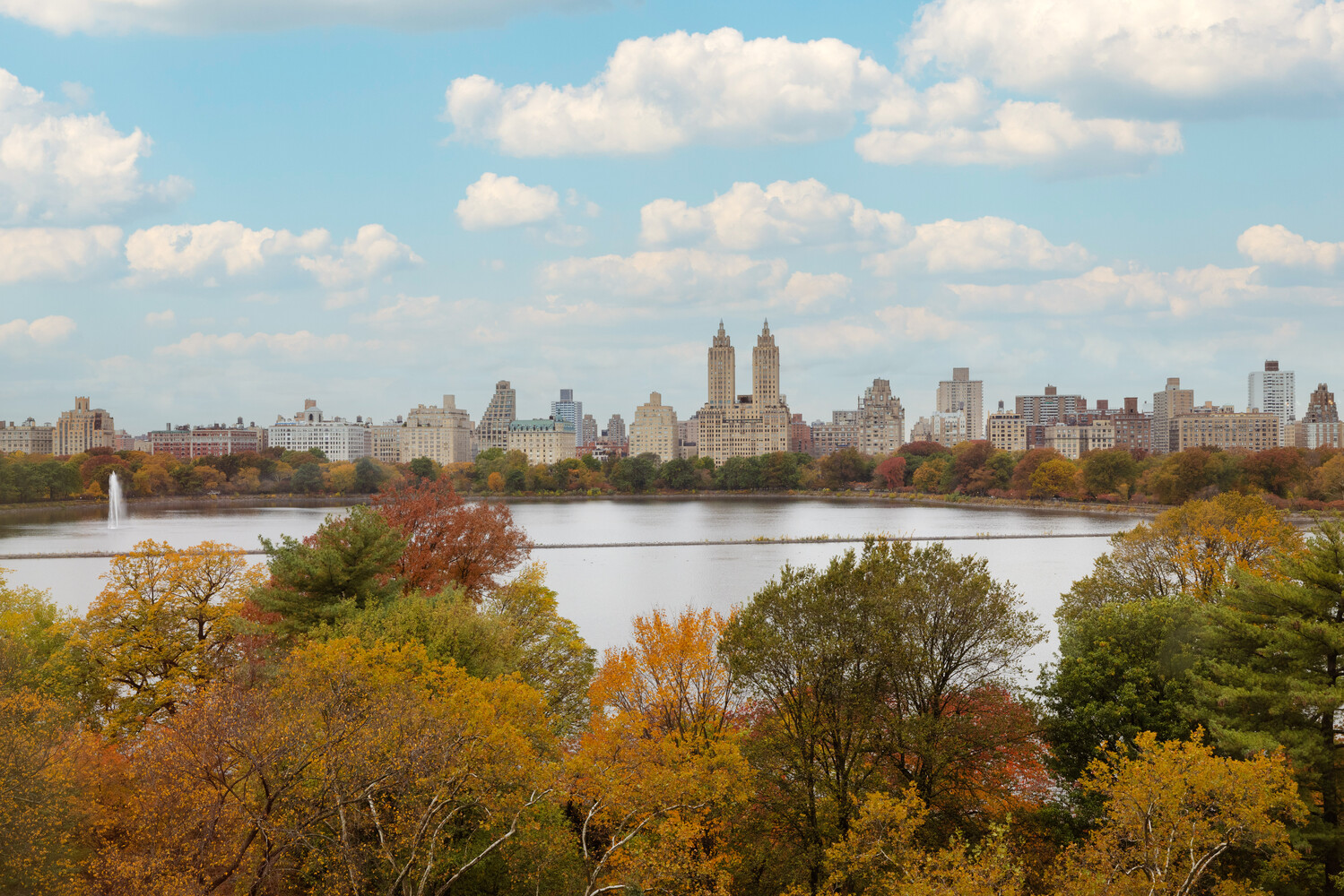 1107 Fifth Avenue 9N Carnegie Hill New York NY 10128