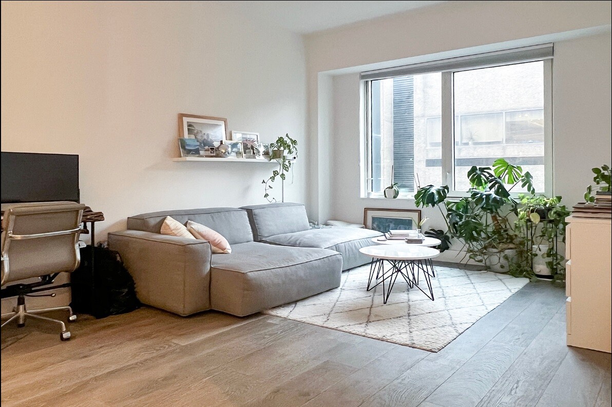 10 Nevins Street 8F Downtown Brooklyn NY 11217