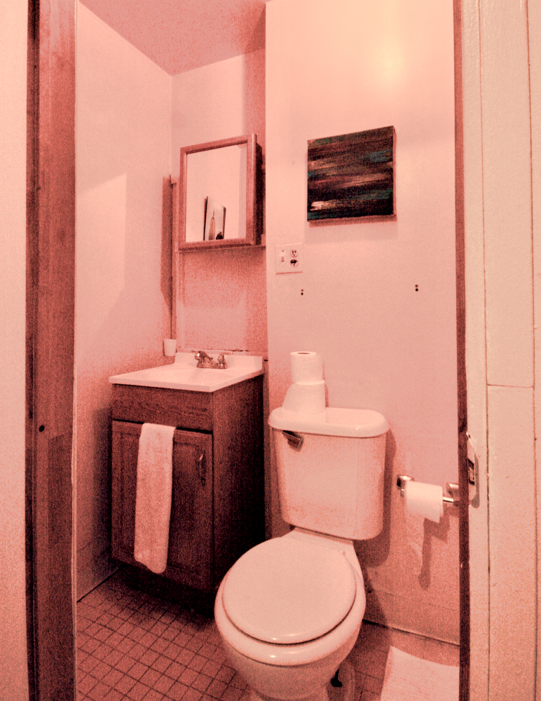 92 Butler Street 2F Boerum Hill Brooklyn NY 11231