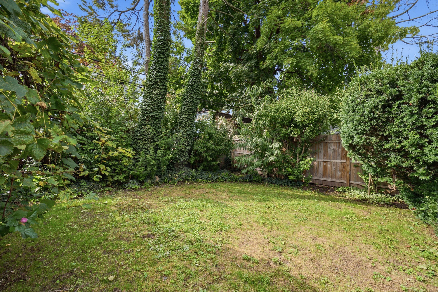 342 Westminster Road Flatbush Brooklyn NY 11218
