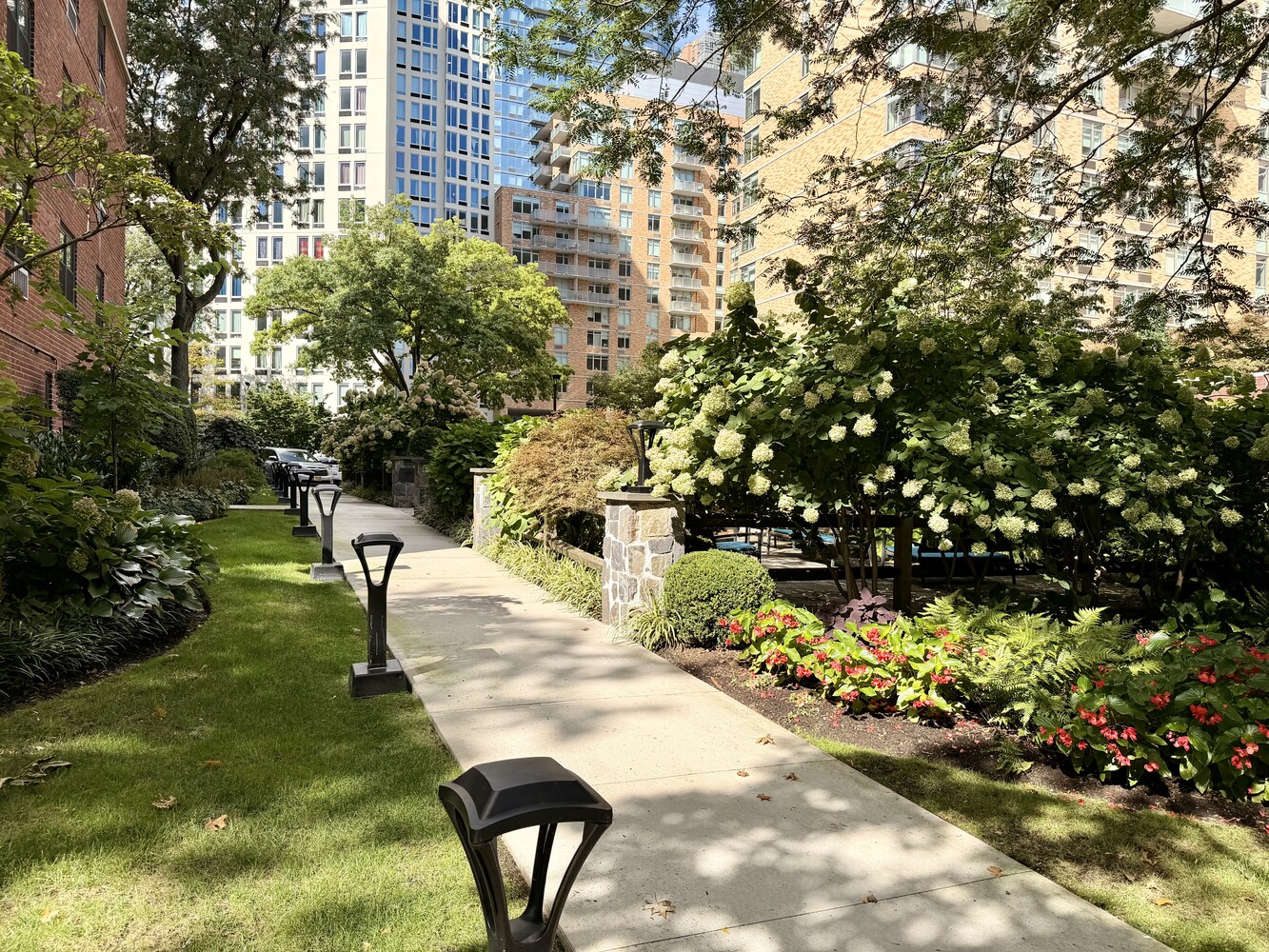 191 Willoughby Street 8J Downtown Brooklyn NY 11201