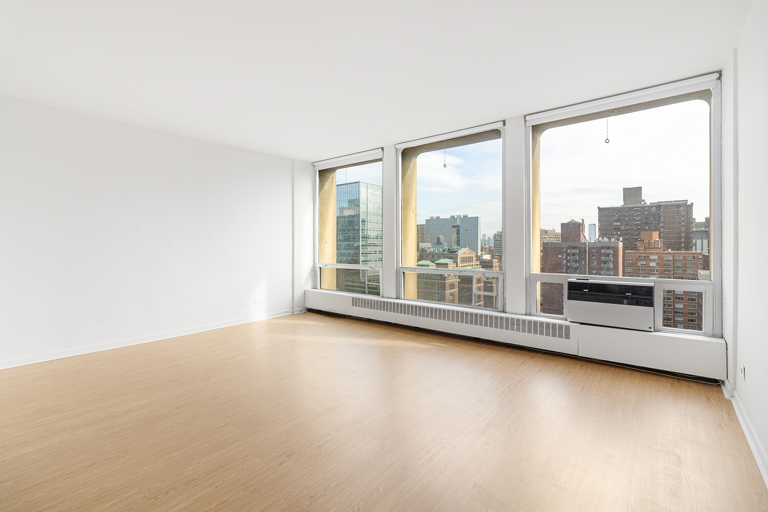 343 East 30th Street 17H Kips Bay New York NY 10016