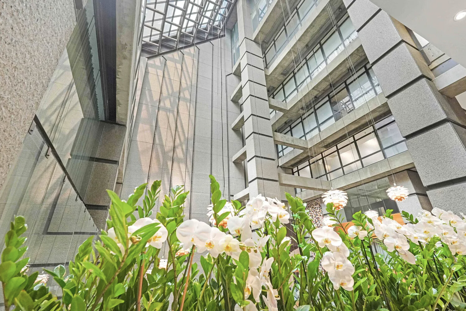 117 East 57th Street 44F Midtown East New York NY 10022